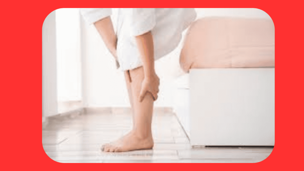 Sistema Vascular: Funções, Dores nas Pernas e Problemas de Circulação