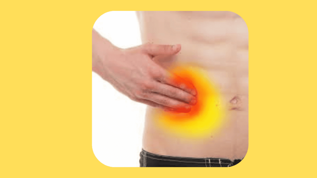 Sistema Digestivo: Funções, Principais Dores Abdominais e Como Aliviar