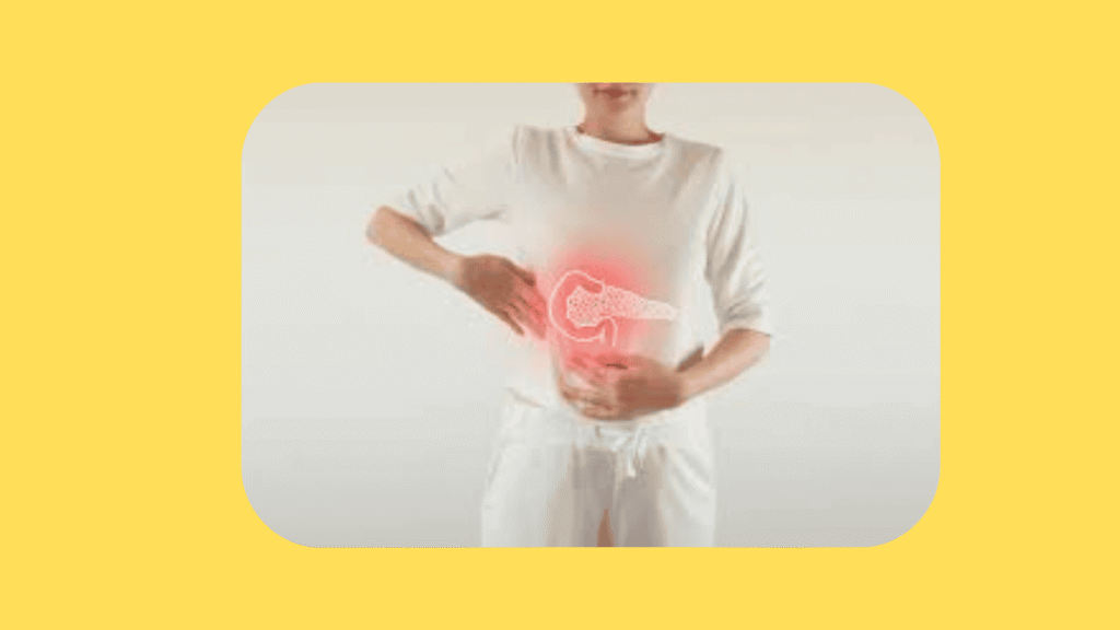 Sistema Digestivo: Funções, Principais Dores Abdominais e Como Aliviar