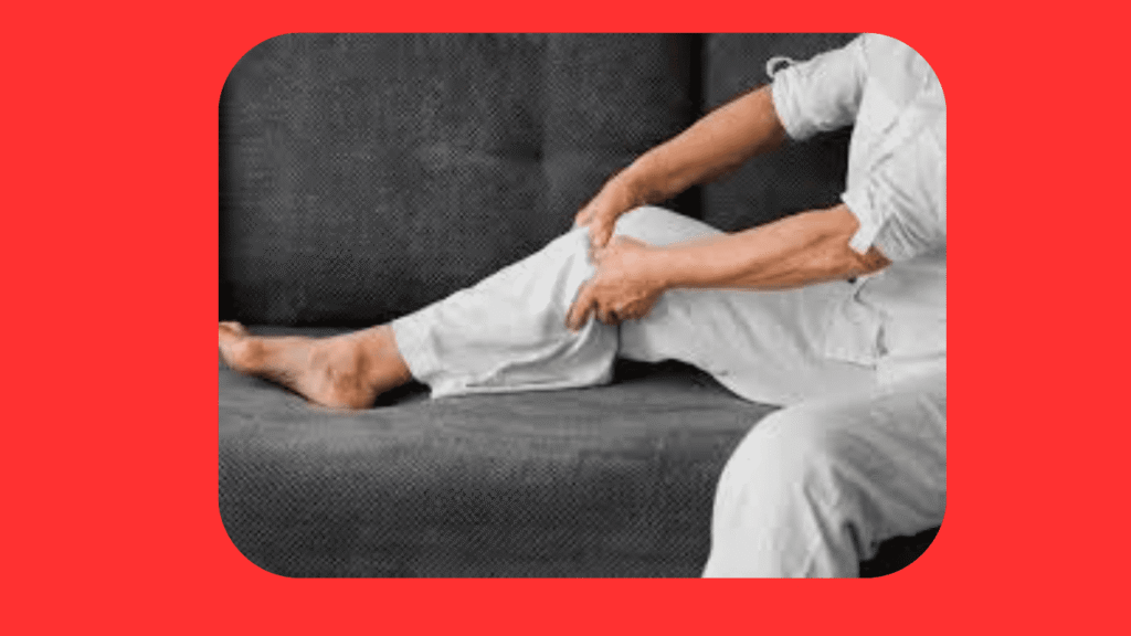 Sistema Vascular: Funções, Dores nas Pernas e Problemas de Circulação