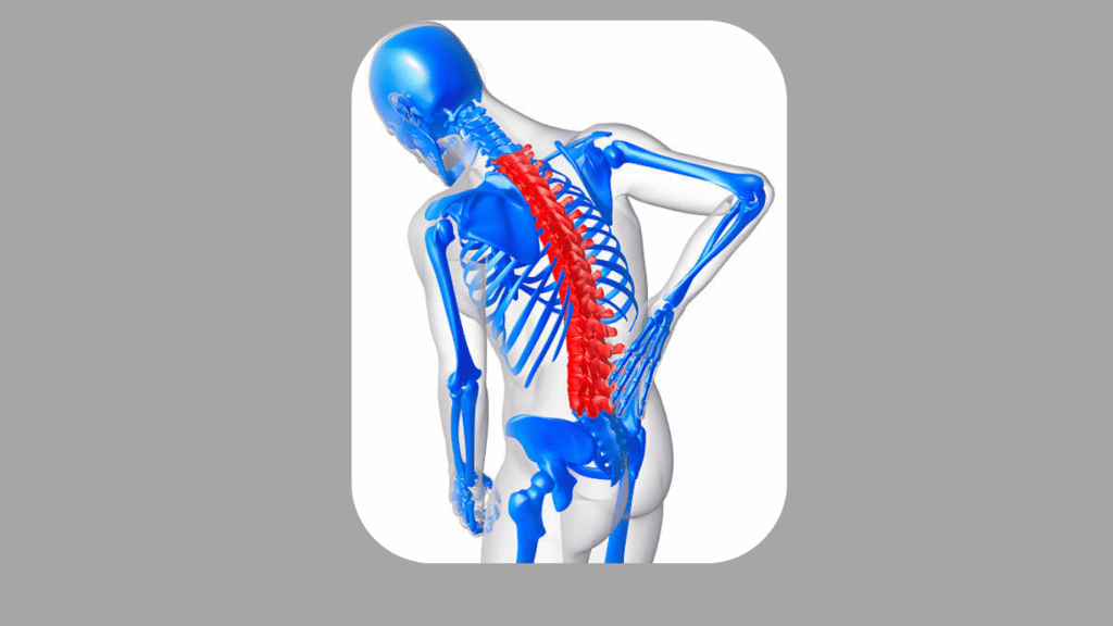 Sistema Nervoso: Funções, Tipos de Dor e Como Aliviar