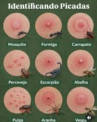nivel de picada de insetos grafico ilustrativo
